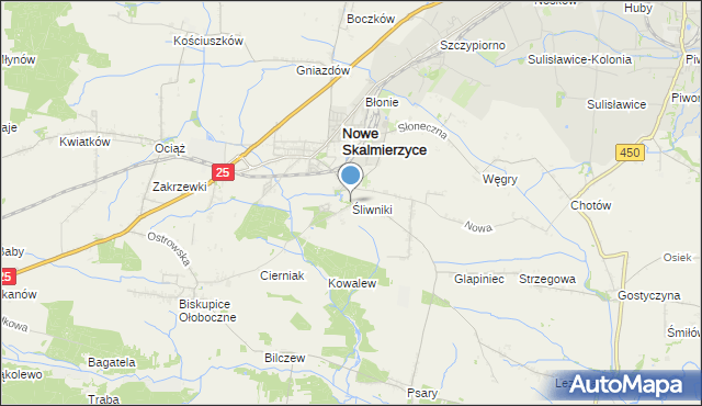 mapa Śliwniki, Śliwniki gmina Nowe Skalmierzyce na mapie Targeo